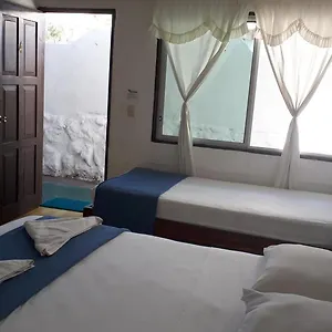 Maison d'hôtes Darwin, Puerto Ayora (Galapagos Islands)