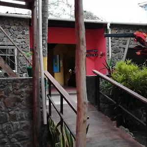  Hostel Galapagos Morning Glory